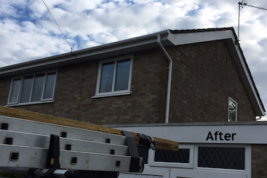 Fascias after